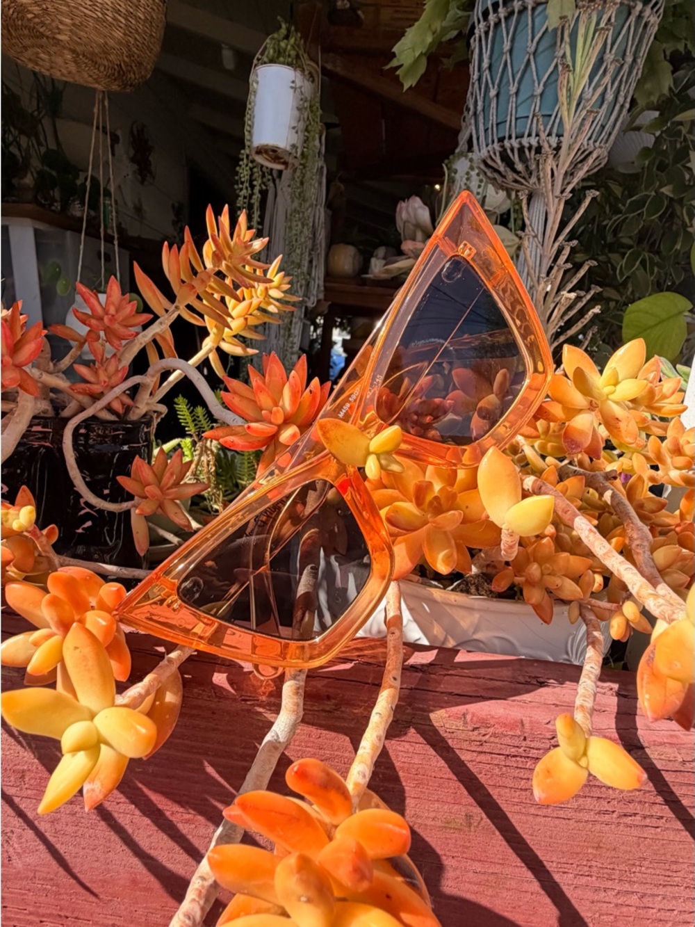 Amazon Orange Cat-Eye Sunglasses - Picture 2 of 8